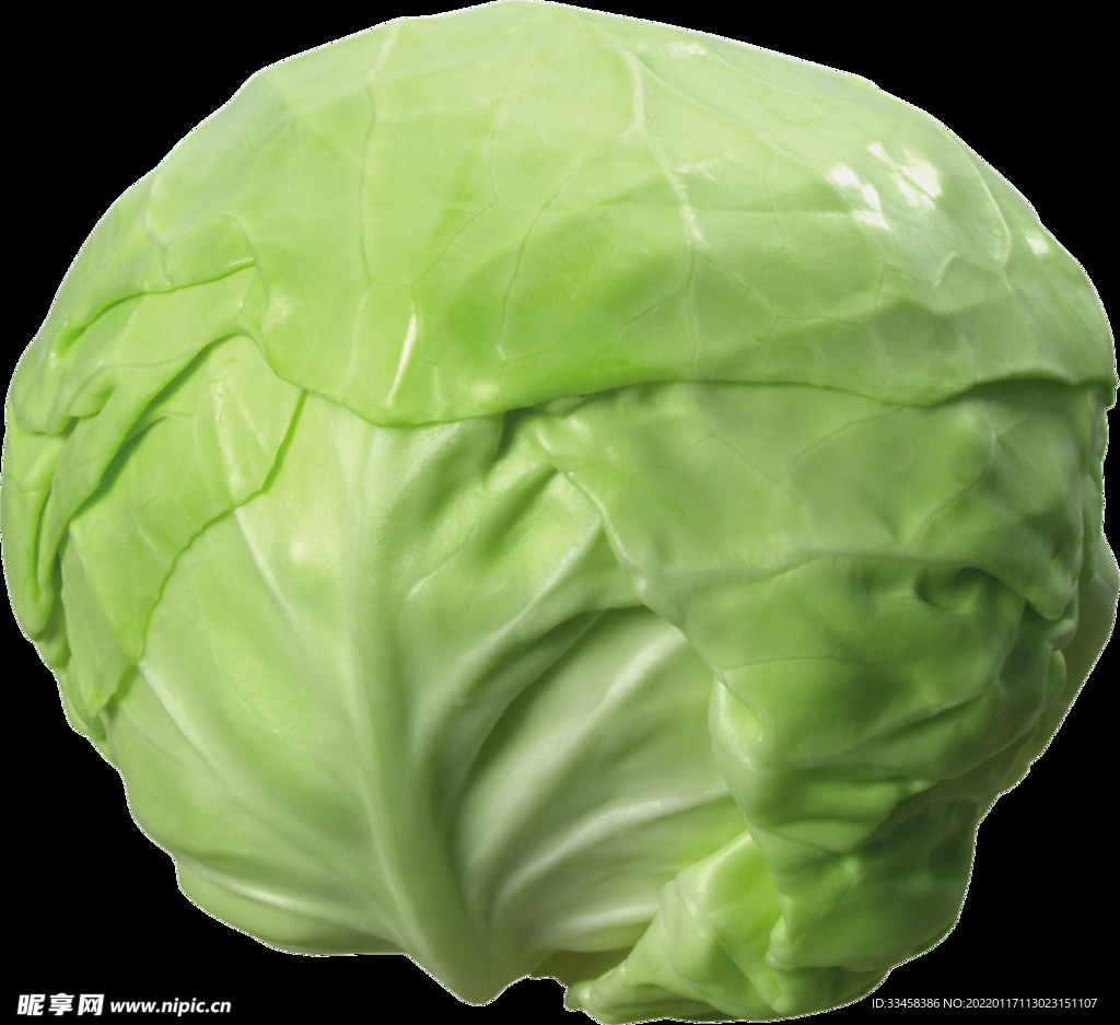 卷心菜