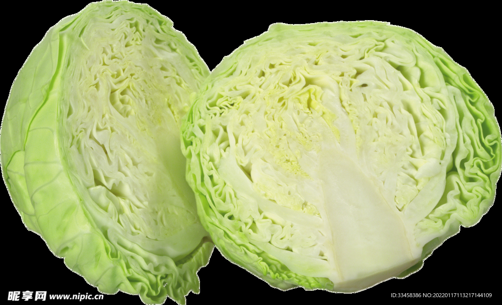 卷心菜