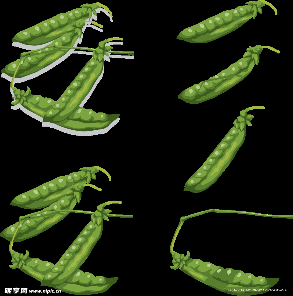 豌豆图片