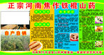 焦作铁棍山药