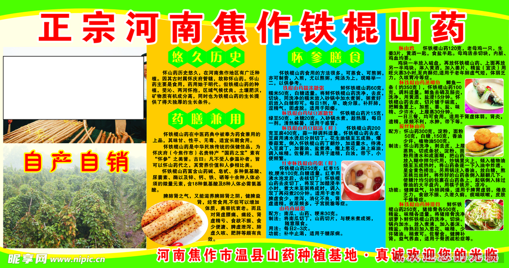 焦作铁棍山药