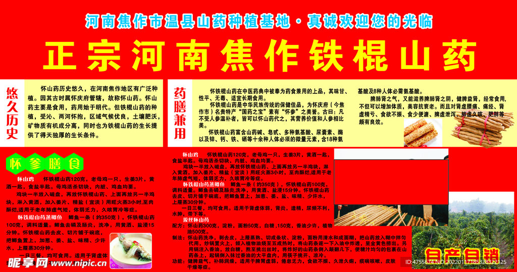 铁棍山药