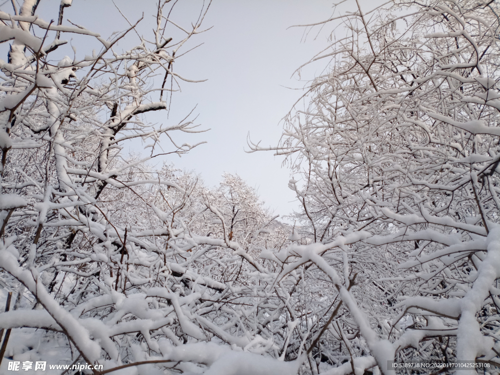 雪景