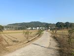 乡村