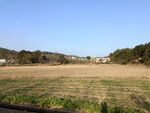 田野