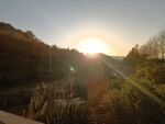 山村日出