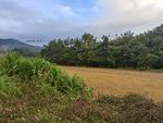 乡村原野