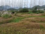 冬天的河道