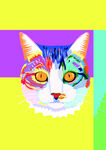 色彩猫咪