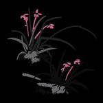 水墨兰花PNG  