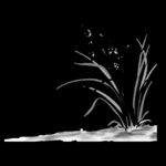 水墨兰花PNG  