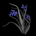 水墨兰花PNG