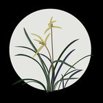 水墨兰花PNG  