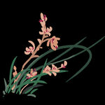水墨兰花PNG  