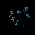 水墨兰花PNG  