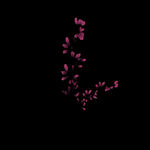水墨兰花PNG 