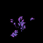水墨兰花PNG 