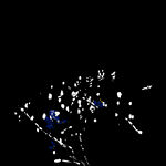 水墨兰花PNG  