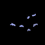 水墨兰花PNG  