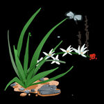 水墨兰花PNG 