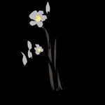  水墨兰花PNG