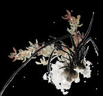  水墨兰花PNG  