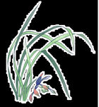  水墨兰花PNG  