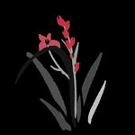  水墨兰花PNG  