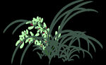  水墨兰花PNG 