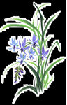  水墨兰花PNG  