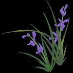  水墨兰花PNG 