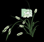  水墨兰花PNG 