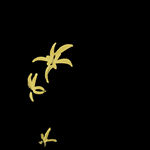  水墨兰花PNG 