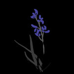  水墨兰花PNG 