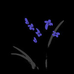  水墨兰花PNG 