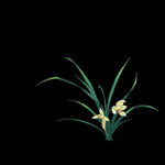  水墨兰花PNG  