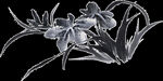  水墨兰花PNG