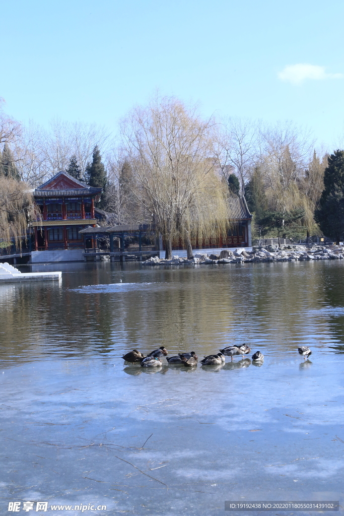 冬日风景