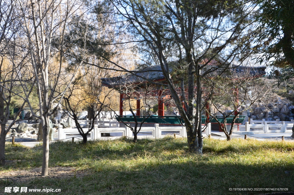 大观园风景 