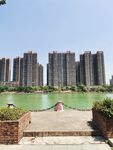 高楼大厦