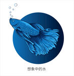 斗鱼出水