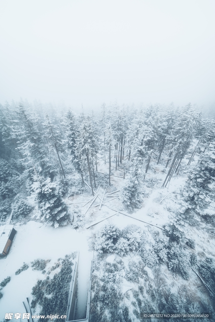 山 