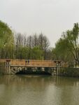 顾村公园