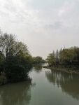 顾村公园