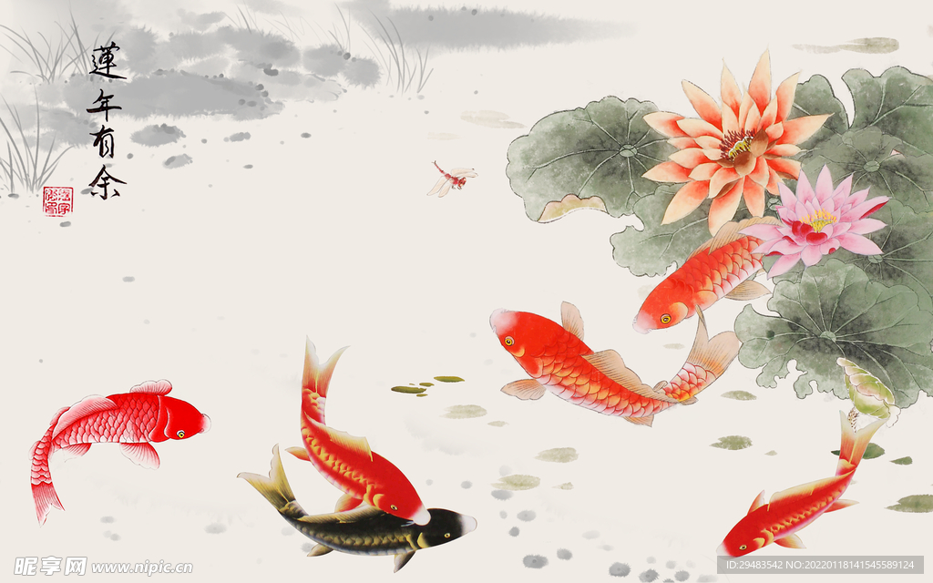 荷花 