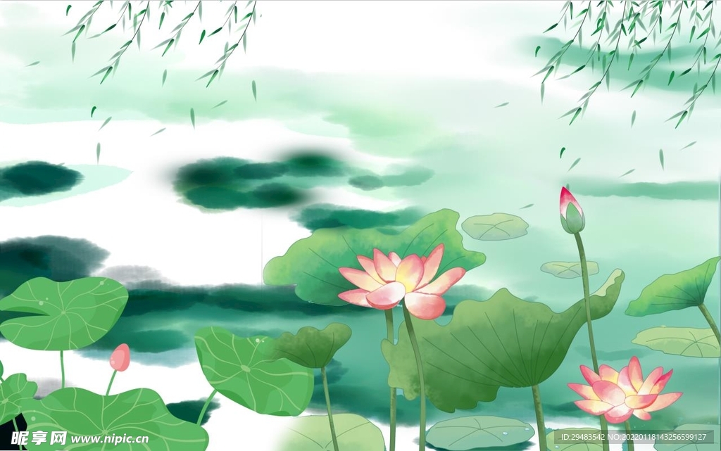 荷花