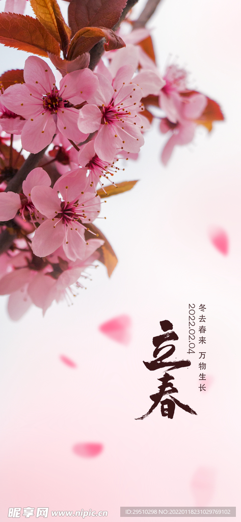 立春海报