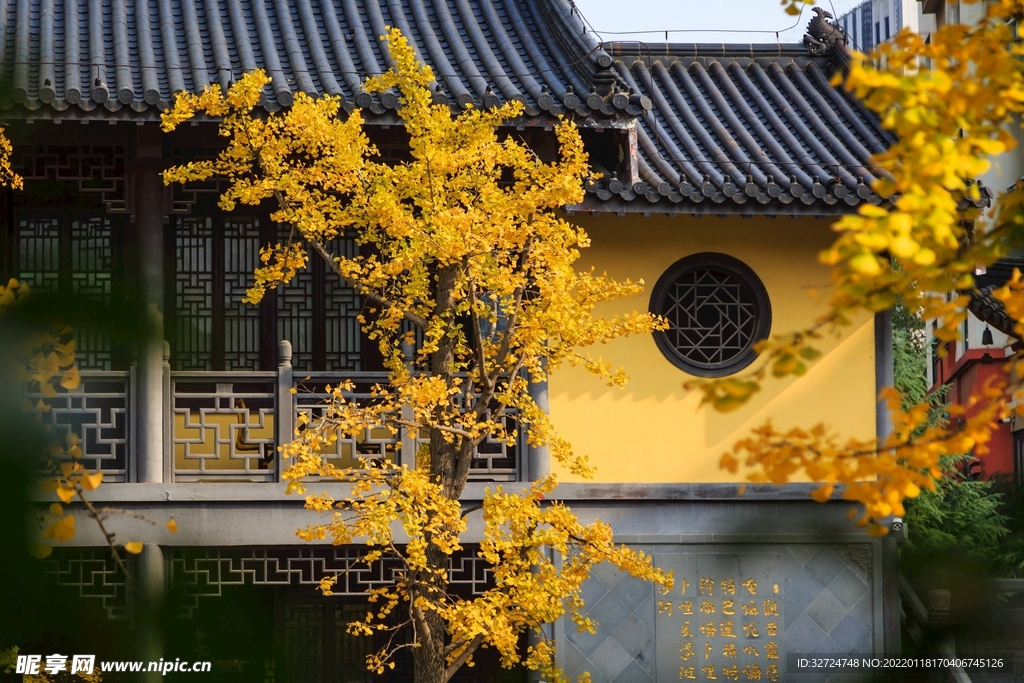 南京秋天