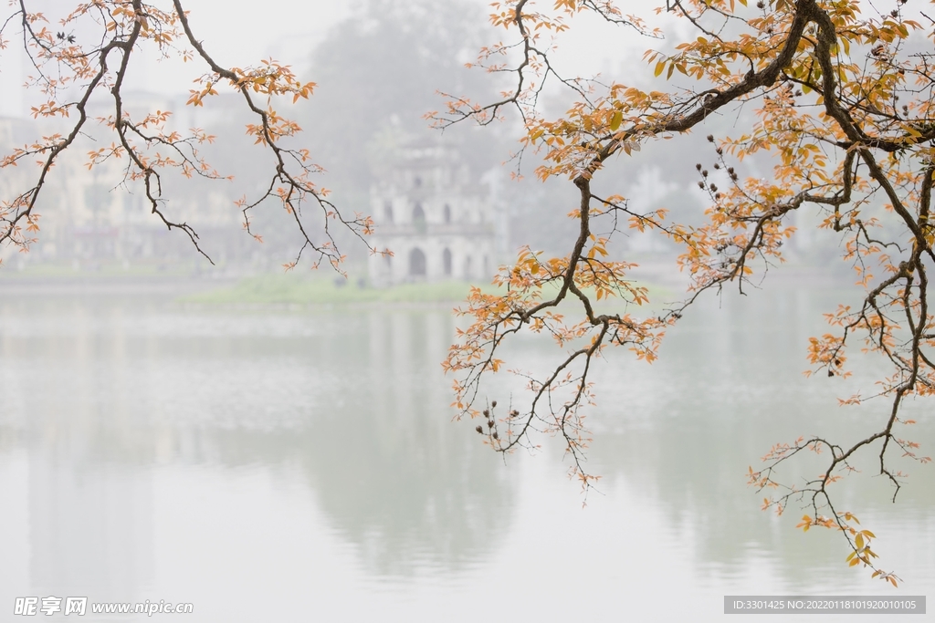 河边风景 