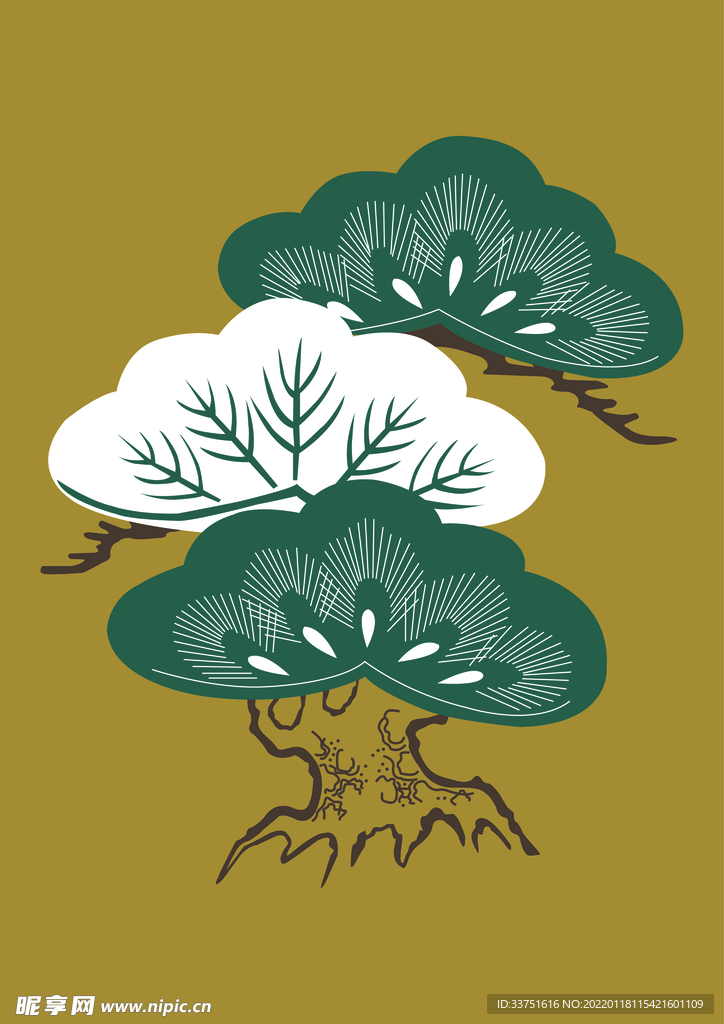 榆木植物